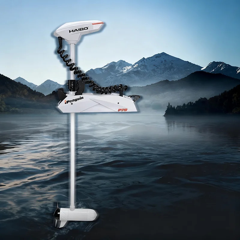12V Electric Outboard Motor 30LBS Thrust Portable for Inflatable Boat Kayak Canoe Fishing with Weedless Propeller