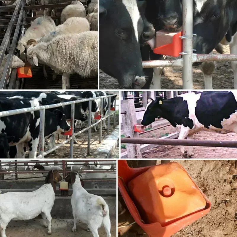 Red/Green Salt Block Holder Goat Mineral Block Tray Bite Resistant Save Space Cattle Sheep Horse Lick Brick Container for Farm