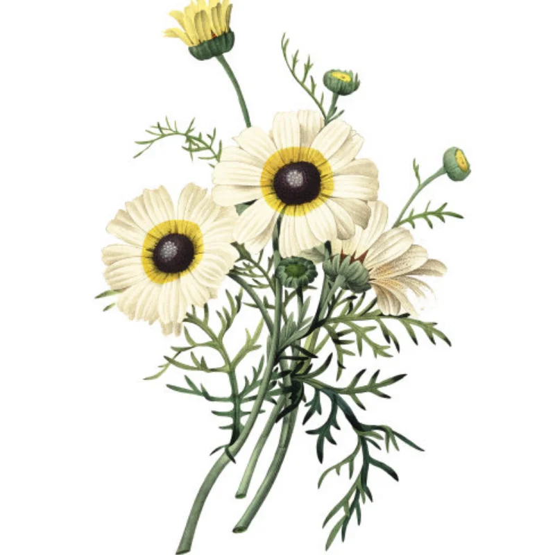 

Светодиодные фары на крыше радиоуправляемого автомобиля, круглые прожекторы для 1/10 RC Crawler Axial SCX10 90046 TRX4 TRX6 Redcat Gen8