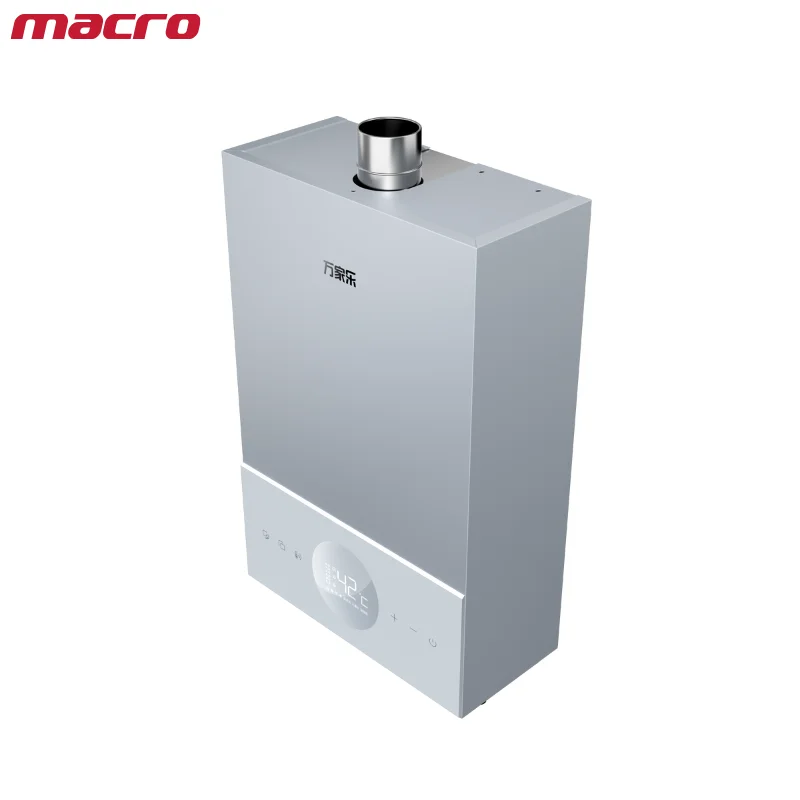 Novel Design Remote Control Macro Gas Water Heater 13/16L Multiple Capacity Tankless Gas Water Heater