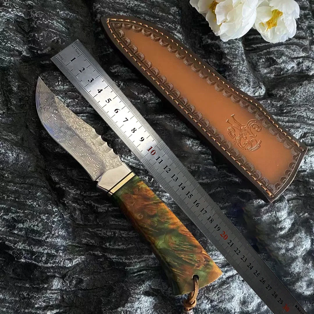 

VG10 Damascus Steel Camping Hunting Fixed Blade Knife Wood Handle Survival Tactical Hunter Knifes Self Defense Knives For Men