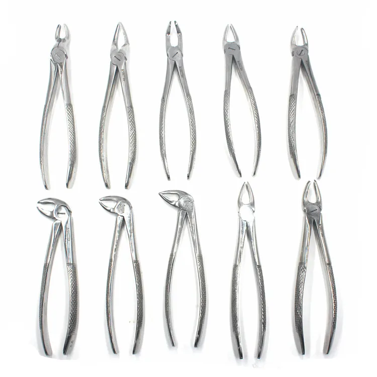10-Piece Oral Dental Surgery Extraction Elevator Pliers Tool Kit