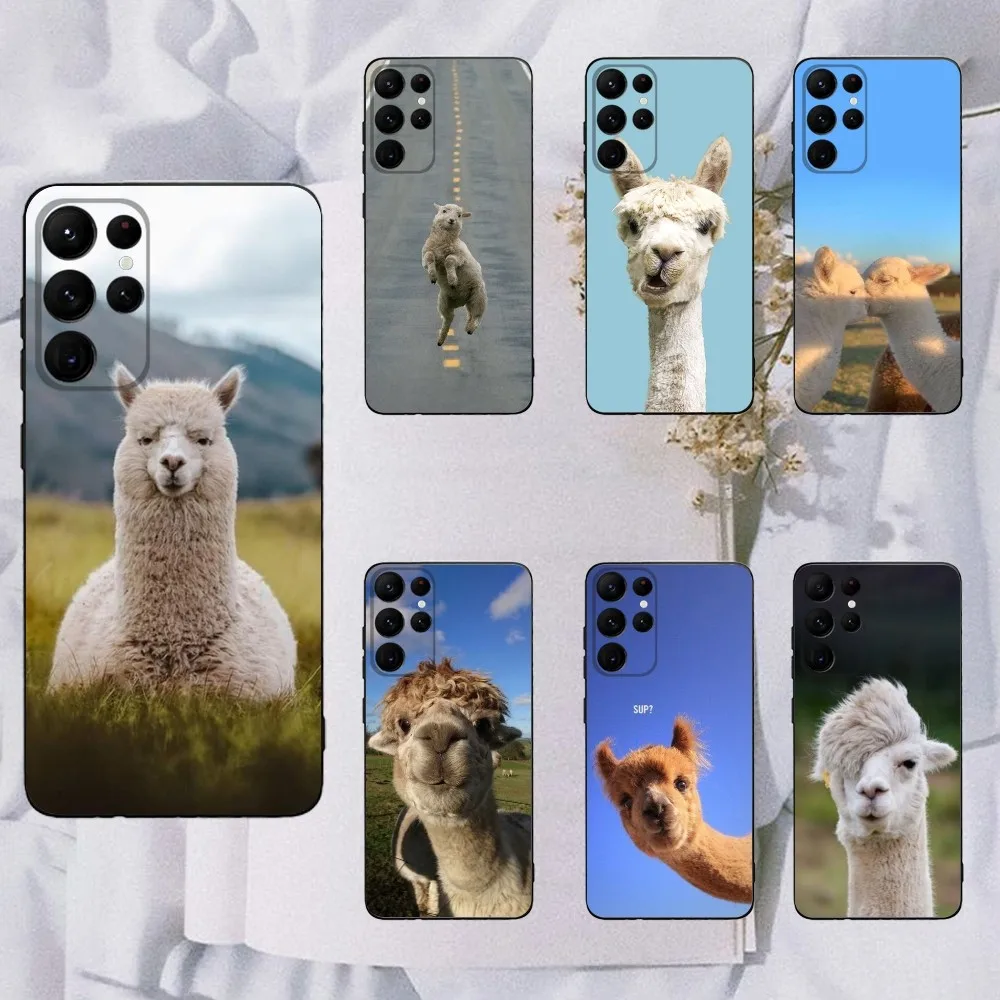 Lama Llama Alpaca Phone Case For Samsung Galaxy A20,A21s,A22,A31,A32,A52,A53,A72,73,A80,A91 Soft Black Cover