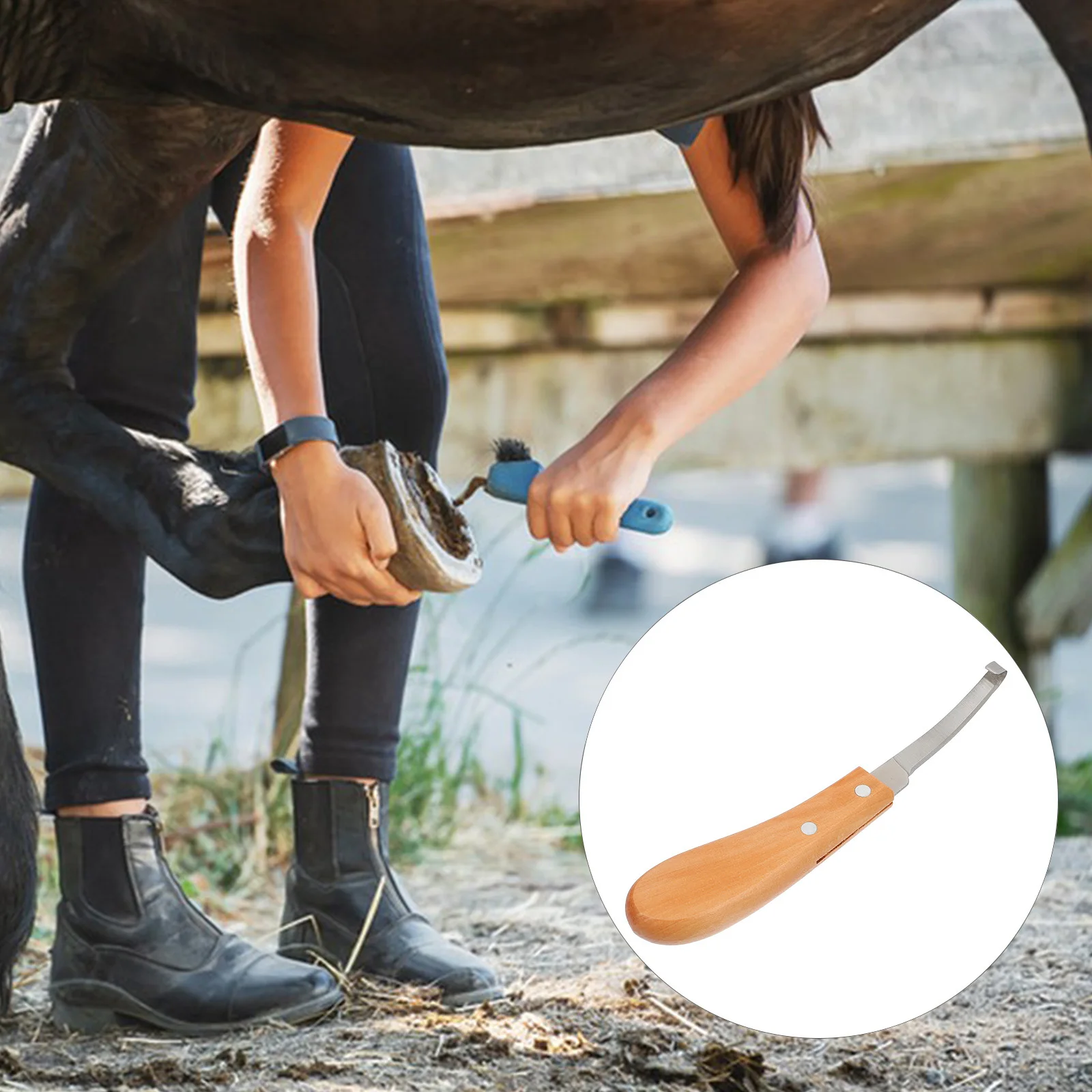 

Horse Hoof Trimmer Brown H Stainless Steel Donkey Nail Lightweight Farrier Tool for Cattle Sheep Goat Pet Supplies