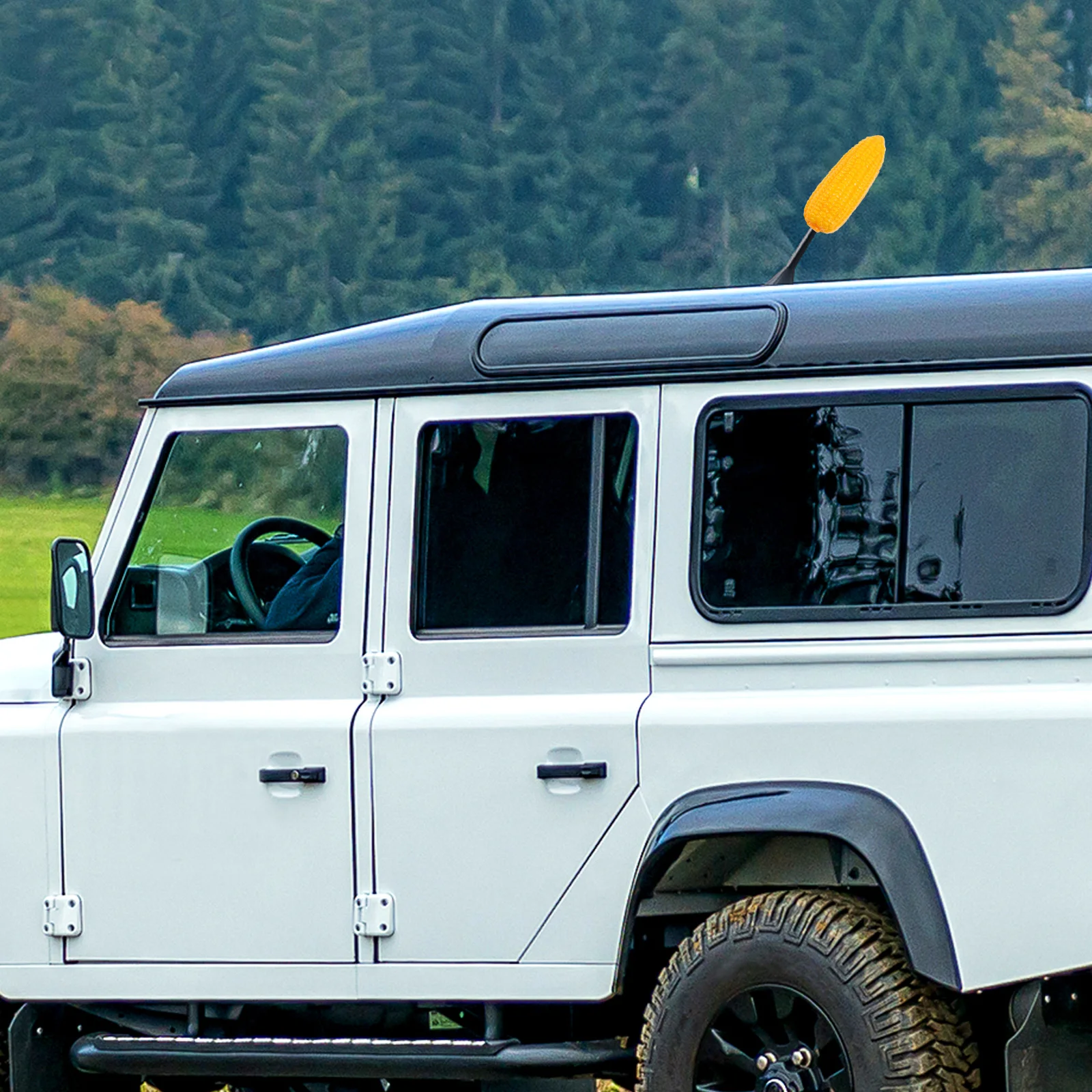 

Car Antenna Topper Decoration Cute Cartoon Ornament For Vehicle Exterior Auto Accessory Stylish Car Decor Enhances Fashion