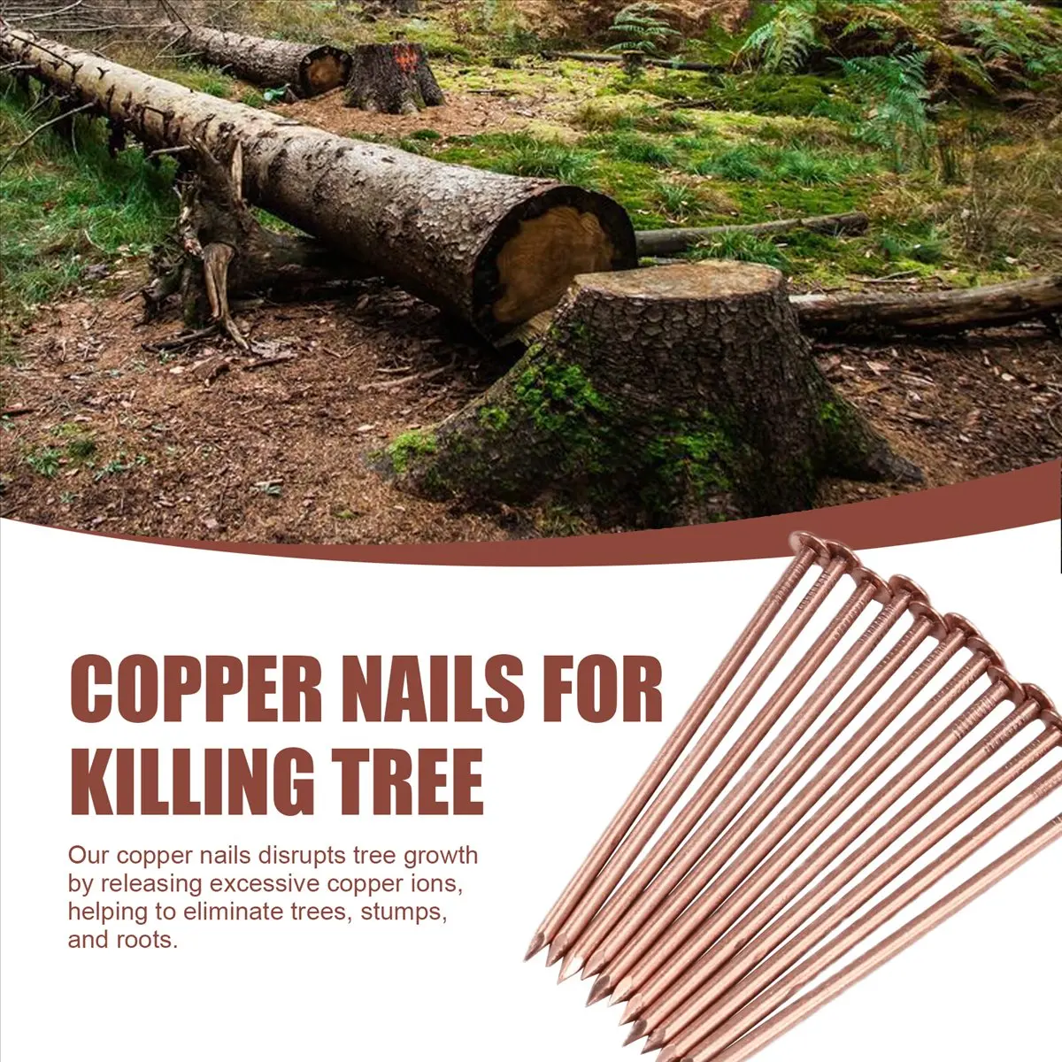 SDFC 14Pcs Copper Nails Kit to Killing Trees,3.5 Inch Pure Copper Nails Bulk,Stump Removal Spikes Hardware Nails for Trees