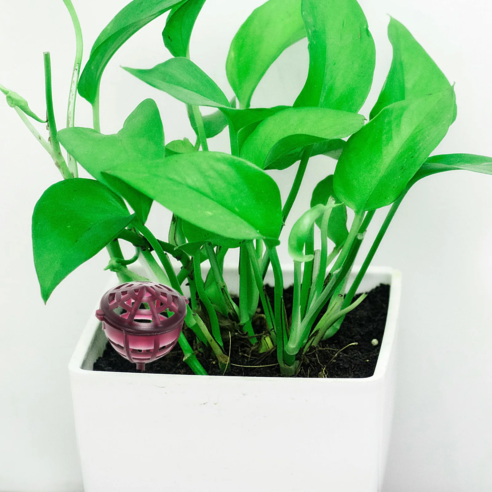 

10Pcs Plastic Fertilization Baskets Bonsai Fertilizer Holder Easy Insert Soil Durable Practical Mini Planting Fertilizers