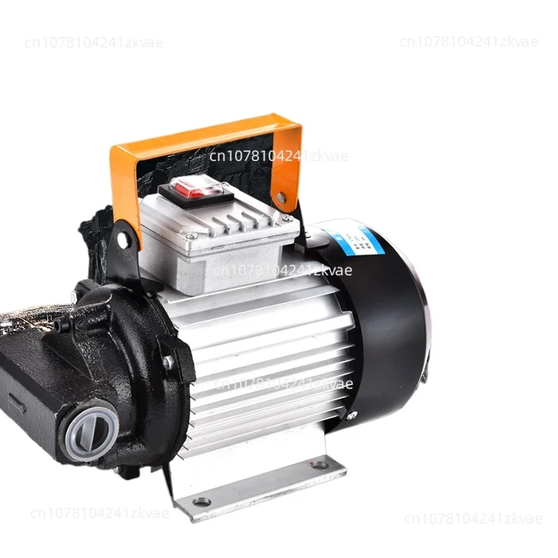 Electric Suction Pump 220V High Power 750W Gear Pump