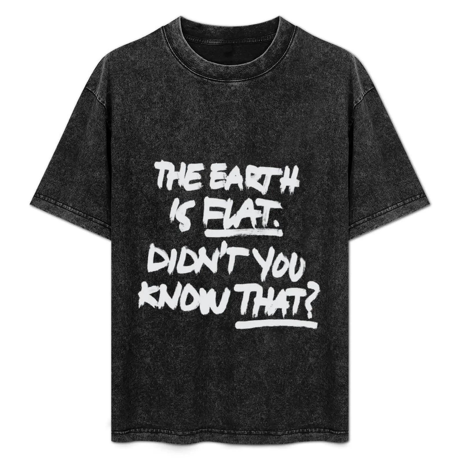 The earth is flat T-Shirt Urban Style Print T-Shirt