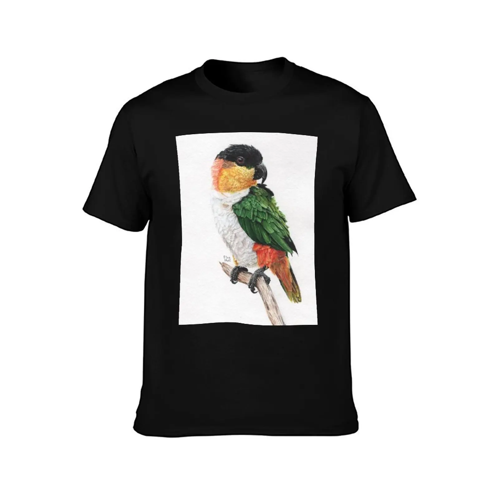 Caique clock. Caique watercolor painting. T-Shirt, Summer Casual Cotton Tee, Oversized Streetwear Tops, Vintage Graphic Print