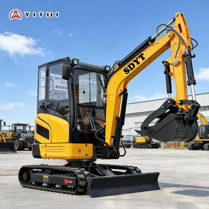 Hot 2.0 Ton Mini Excavator Customized Crawler Home Mini Digger Ce Epa Euro5 Powerful Engine Kubota Engine Free Delivery