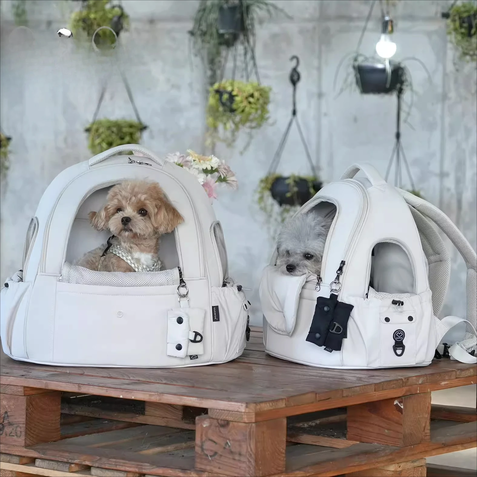 Pet Outdoor Three-Window Head-Exposing Car-Mountable Chest Backpack