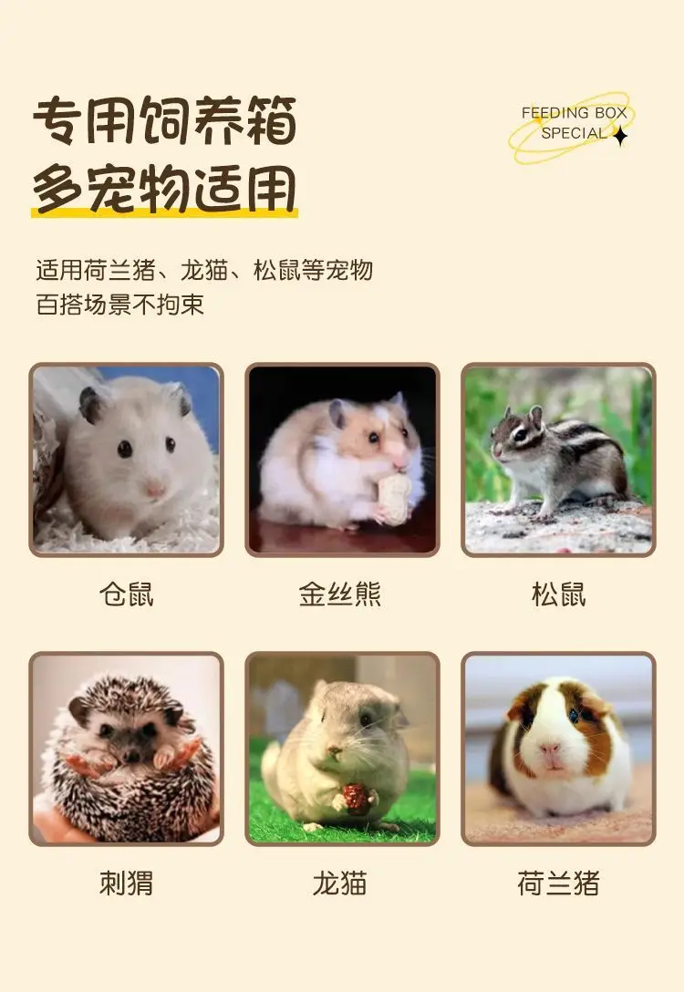 lizard chicken, ornamental chicken cage breeding box, sunroof landscaping breeding pet box