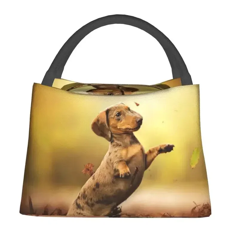 Dachshund Teckel Thermal Insulated Lunch Bag Women Badger Sausage Wiener Dog Lunch Container for Outdoor Picnic Meal Food Box