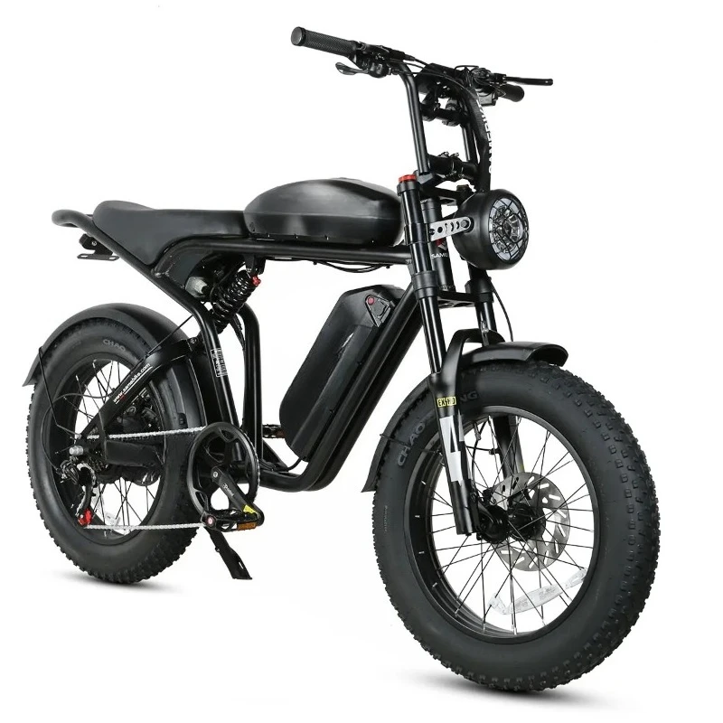 

RTS 20" 48v 1000w 36ah Ebike Long Range Fat Tire Electric Mountain Bike