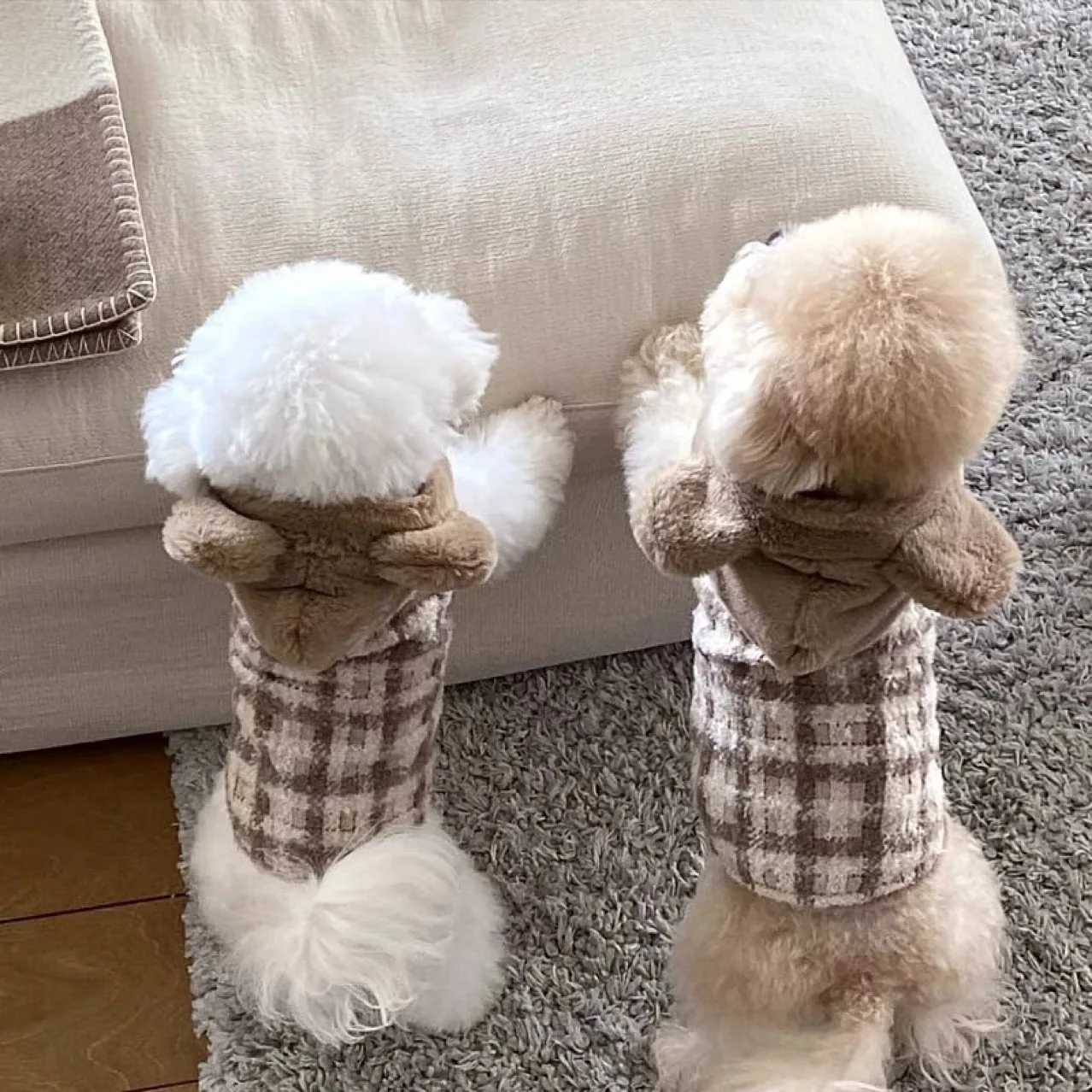 Small Dog Vest Winter Autumn Warm Sweater Pet Cute Desinger Harness Cat Fashion Plaid Hoodie Puppy Clothes Yorkshire Poodle