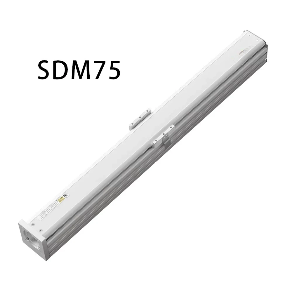 SDM75 Linear Module with 1000mm/s High Load 5-25kg Linear Actuator for Standard Stroke 50~1050mm Screw Module