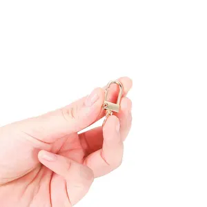 Universal Metal Lobster Schnalle, optionale Multi-, Schlüsselschnallen -Legierung, Bag -Zubehör, 8pcs pro Los 10 Hauptverkaufs -Rucksack für Rucksack - №7