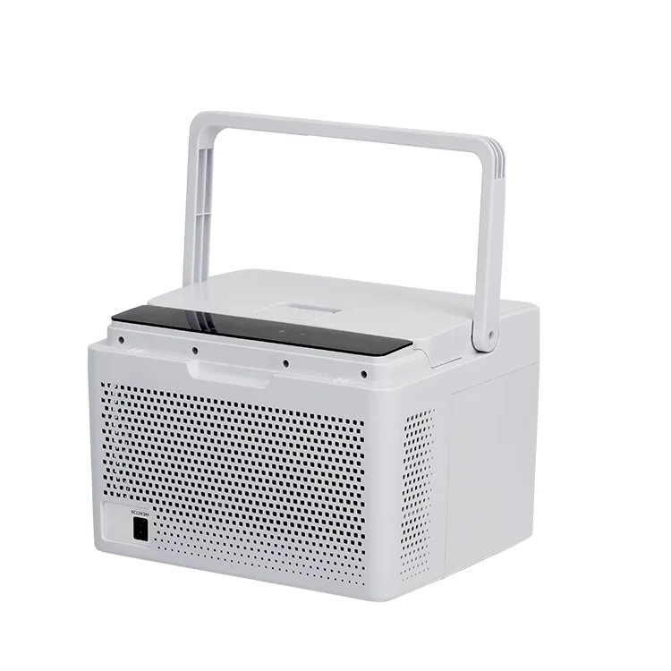 

DC12/24V AC220V Ice Food Cooler Box 10.2L Electronic Camping Mini Refrigerator Portable 12v Dc Compressor Car Fridges