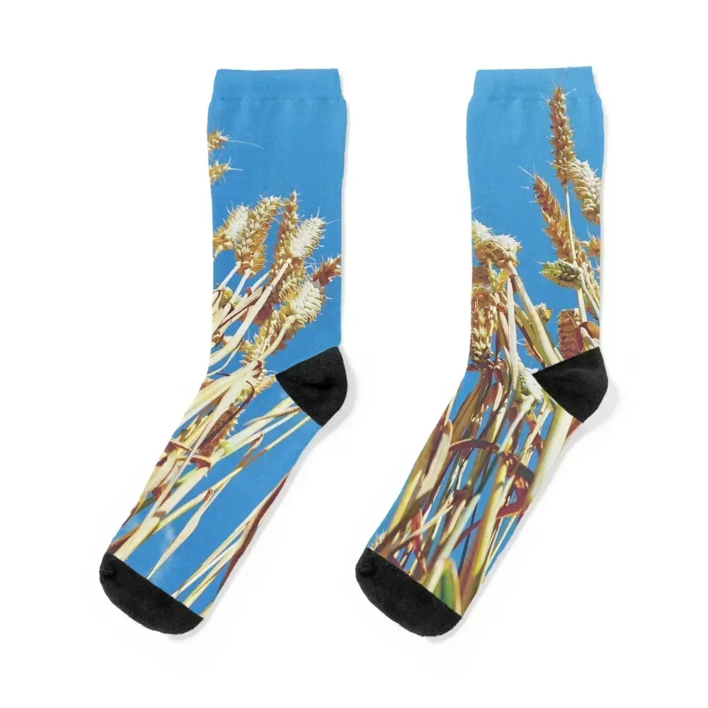 

Wheat Field Socks Toe sports cotton crazy Heating sock Boy Child Socks Women's