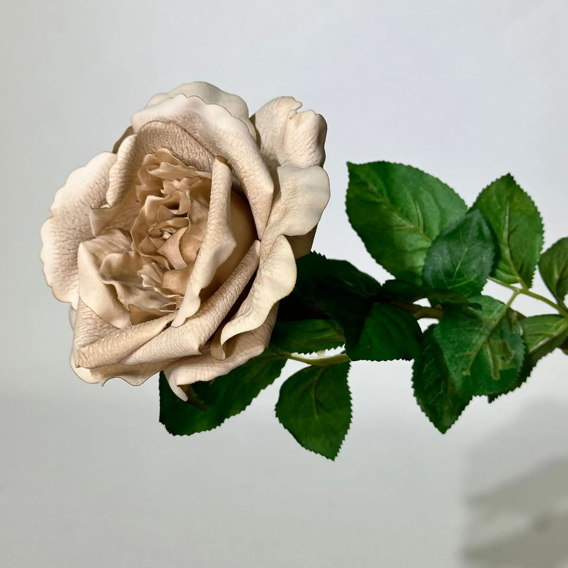 5 Stück Künstliche Feuchtigkeitsspendende Rosen mit Echtem Touch, Hochzeitsdekoration, Rosen-Brautstrauß, Party- und Eventdekoration, Heimdekoration, Kunstblumen – Detail 19
