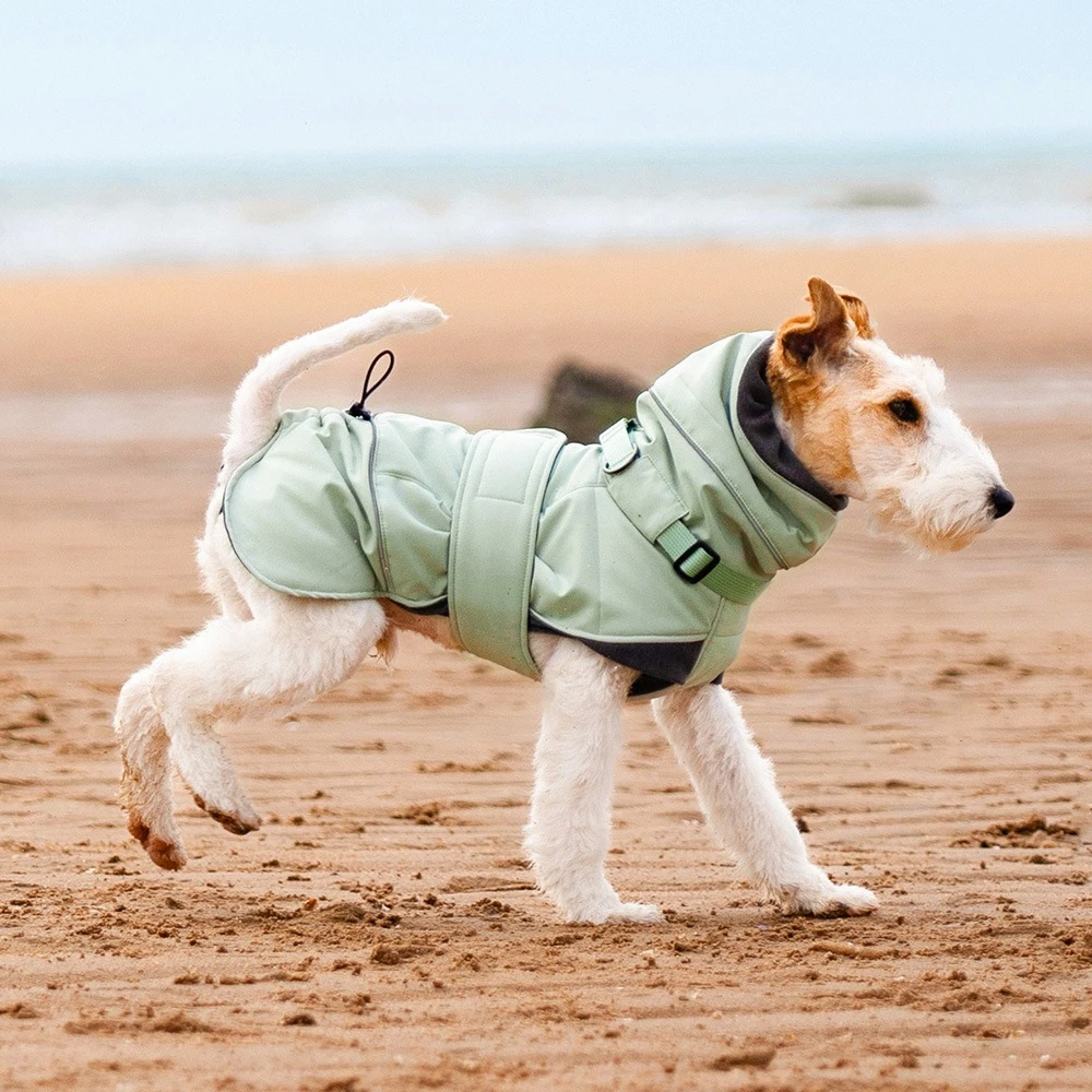 Puppy Clothes Winter Windproof Cold Proof Adjustable Dog Clothing Keeping Warm Reflective Design Dogs Accessories Pet Products