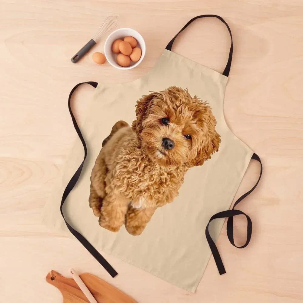

Cavapoo Apron cleanings waterproof for women Cooking Clothes painters Apron