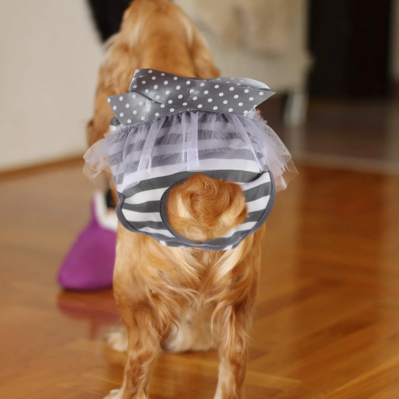 

Pet Heat Pants Dog Diaper Washable Reusable Period Underwear Absorbent Breathable Cotton Comfortable For Female Dogs Puppy