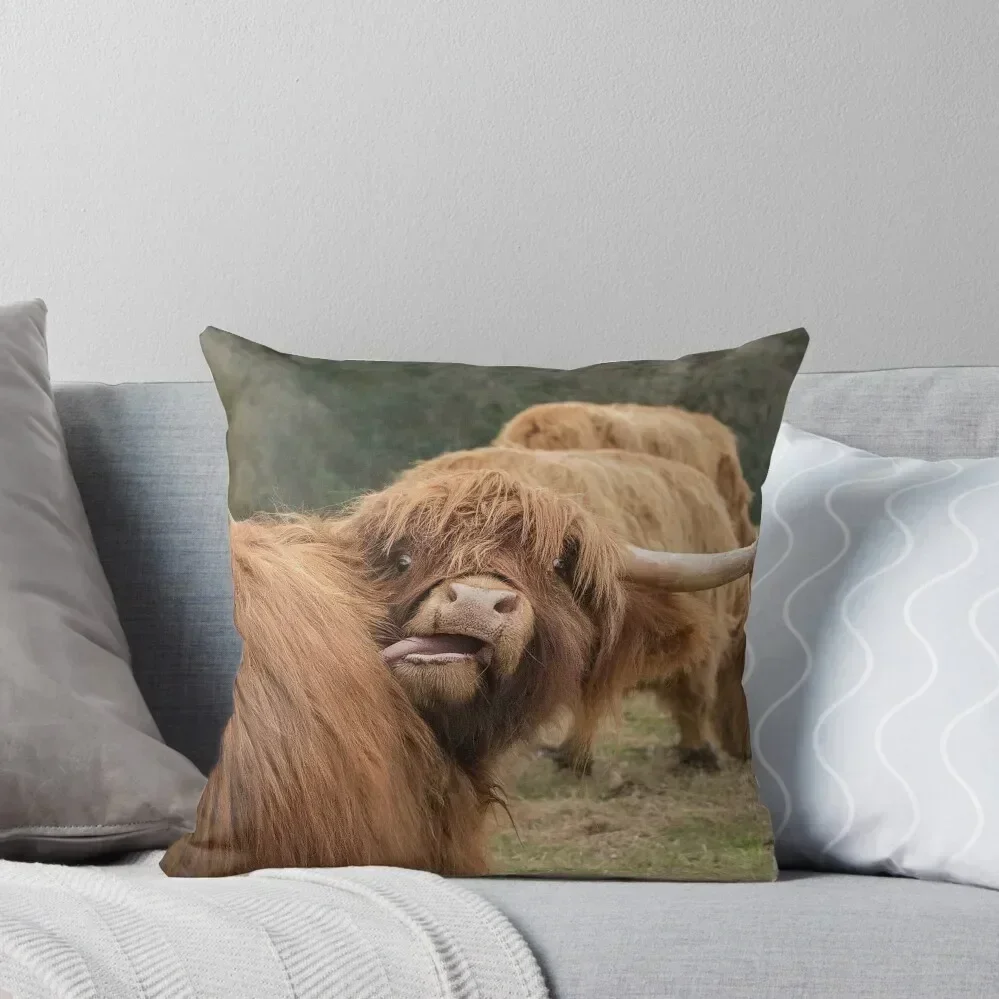 Funny Scottish Highland cow Throw Pillow Pillows Aesthetic Pillow Cover bed pillows Pillowcases Bed Cushions pillow