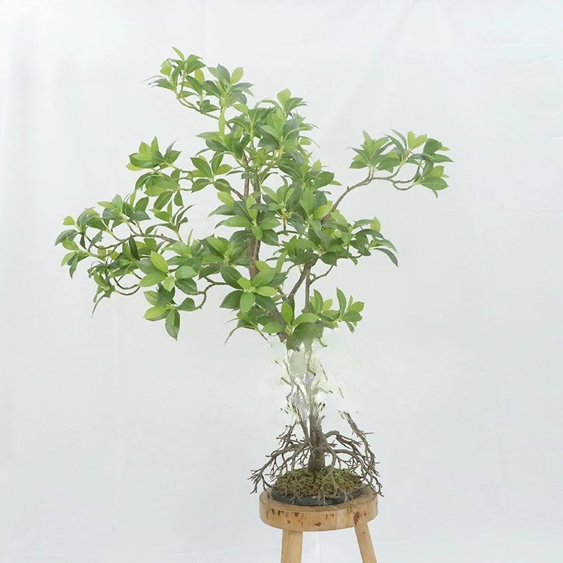 

Simulation 1.2 meters green beautiful small tree modeling tree indoor and outdoor landscaping versatile