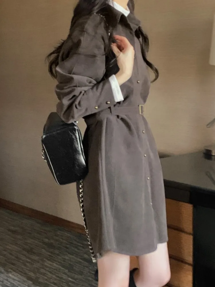 ربيع الخريف الدانتيل يصل قميص فستان المرأة الكورية سليم فستان بكم طويل النساء فساتين السيدات Vestidos #5