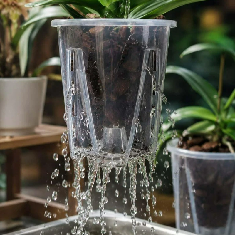 Transparent Flower Pot with Tr - Plant Parent 评论和价格