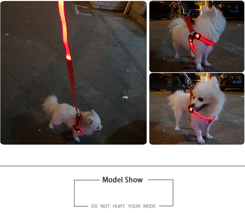 Einstellbare led hunde geschirr usb wiederauf ladbare blinkende nacht sicherheit keine zug halsbänder harness für kleine mittlere hunde haustiere arnes perro – Detail 6