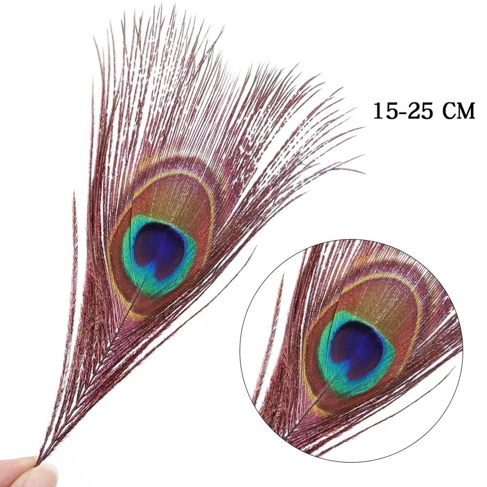 Colored Peacock Feathers 15-25 CM/6-10\