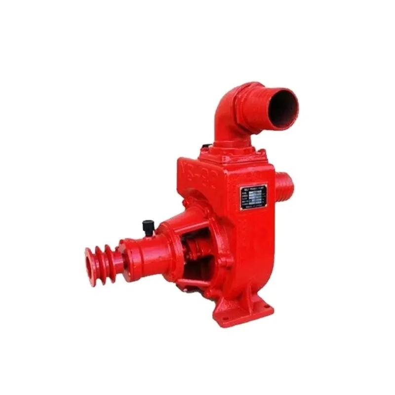 NS Series Cast Iron Self-priming Hydraulic Power Water Pump for Fishing Low Pressure Pump