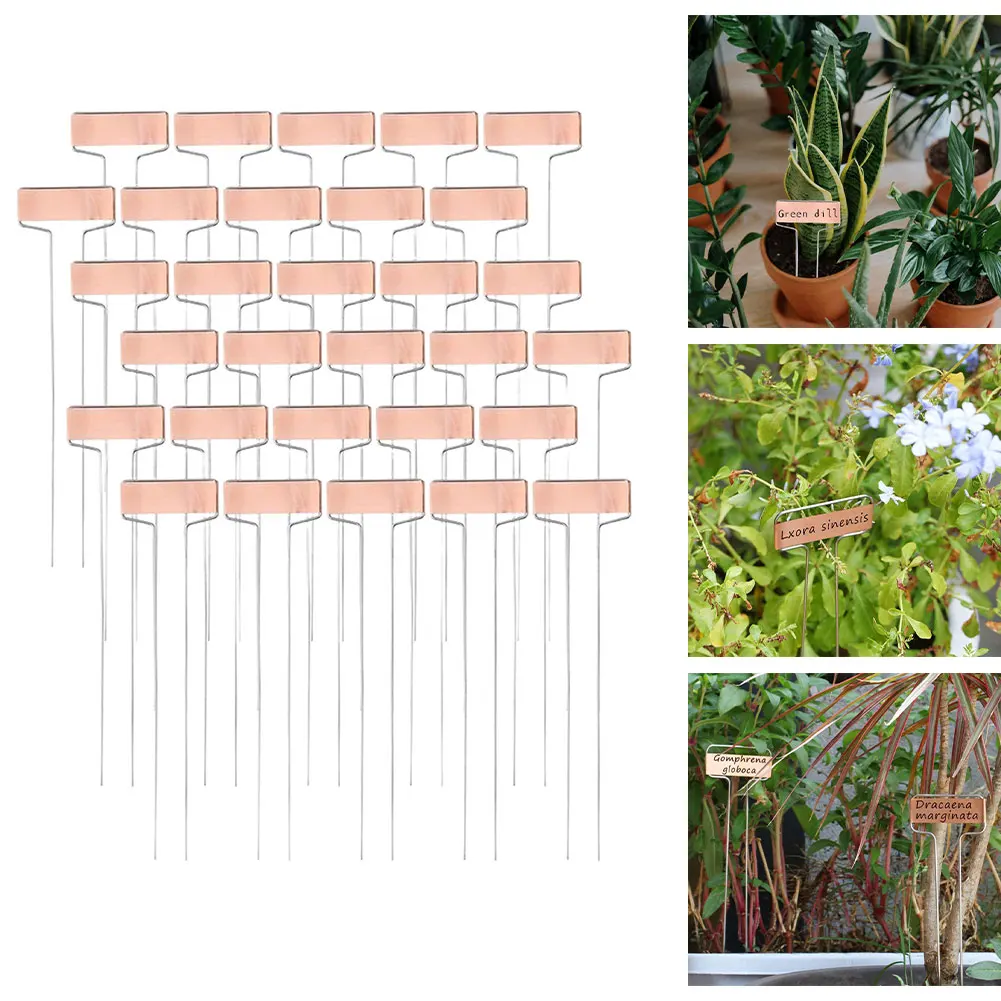 30Pcs Plant Labels Plant Tag For Garden Plant Markers Nameplate Plant Tag  Flower Garden Tag For Potted Plant