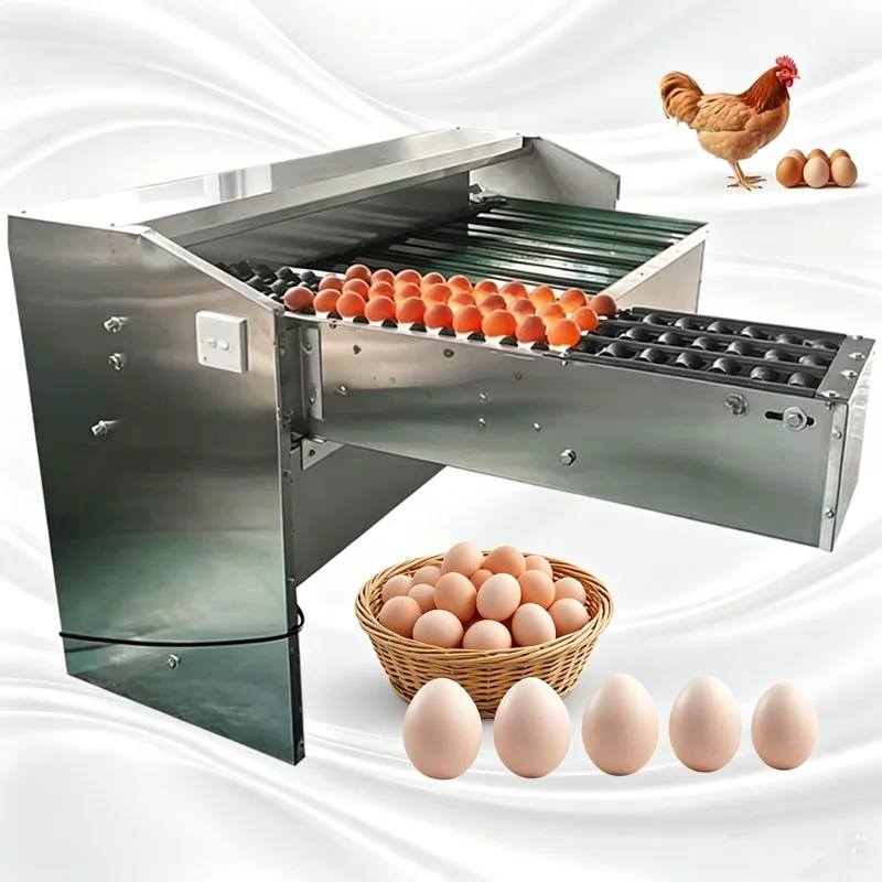 Egg Grading and Sorting Machine High Efficiency Size Classification Device for Egg Production Workshop Customized