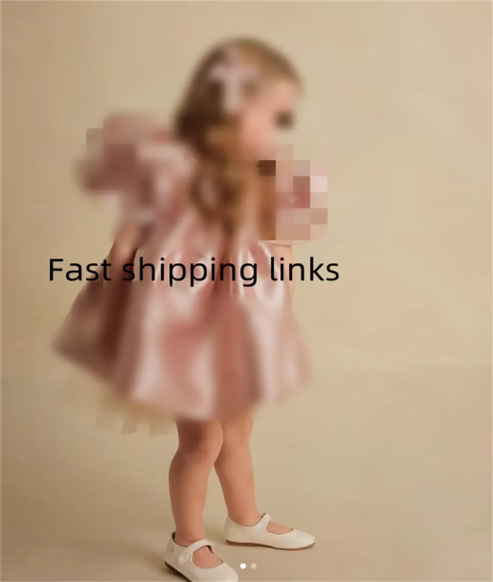 Expedited orders fast shipping costs DhLhe Federal Shipping image 3