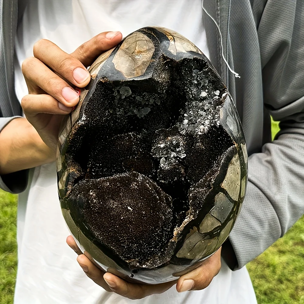 AA+ Dragon Seven-Layer Crystal Egg - Black and brown quartz containing mixed minerals, with a rough textured surface