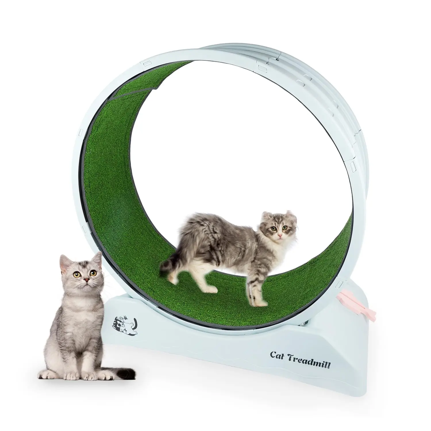 pawise-extra-large-74cm-roue-d'exercice-pour-chat-roue-de-course-pour-animaux-de-compagnie-avec-tapis-piste-interactive-roue-pour-chat-tapis-roulant-jouet-pour-interieur