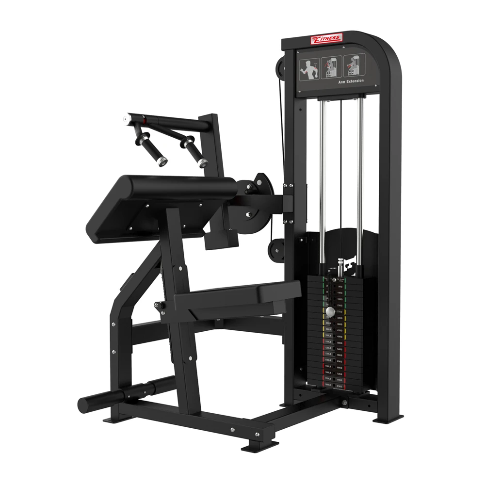 Bodybuilding Pin Loaded Gym Fitness Equipment Commercial Triceps Extension Triceps Press Machine