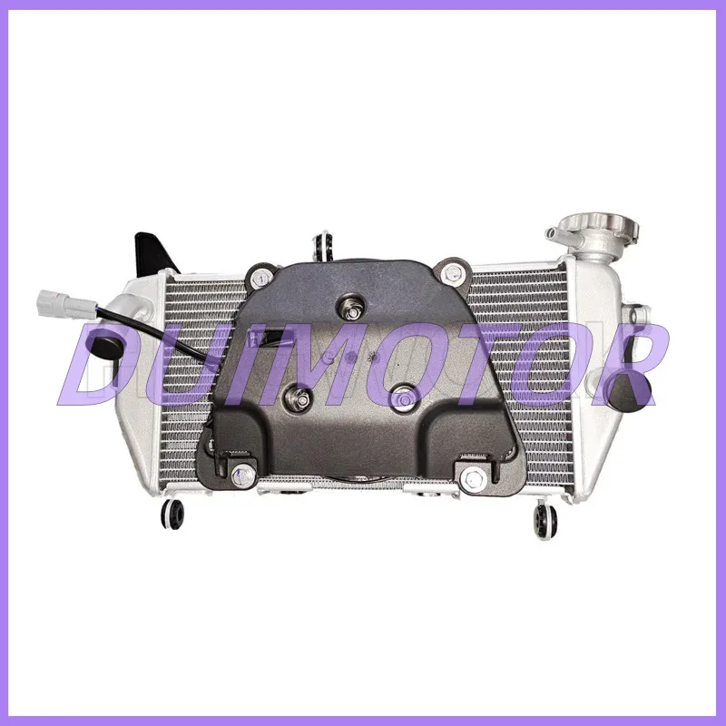 Motorcycle Radiator Assembly for Colove 321r Standard Verison (for Old Version Use,better Ask Before Order) Genuine Parts