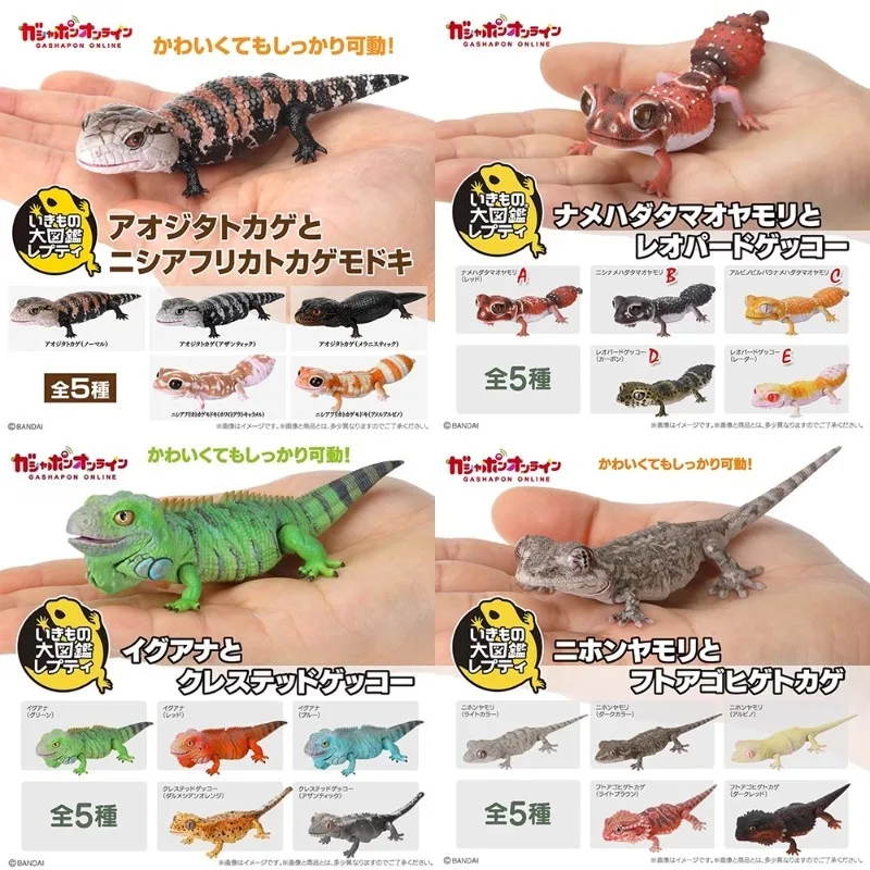 

Original Biological Encyclopedia Gecko Gashapon Toys Colourful Figure Simulation Model Ornaments Toys