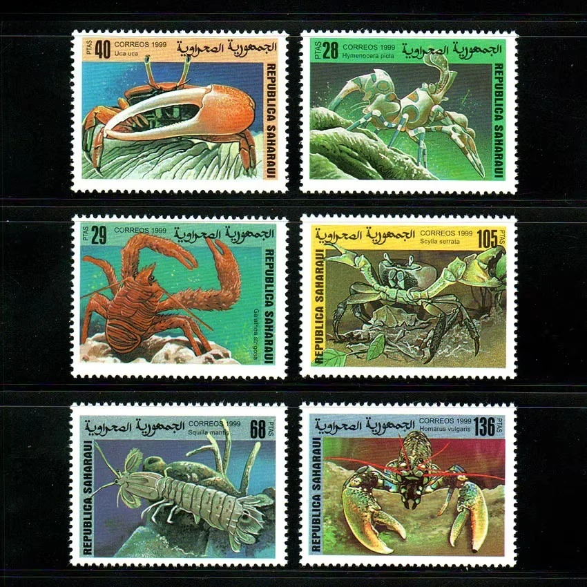 6Pcs/Set New Sahara…