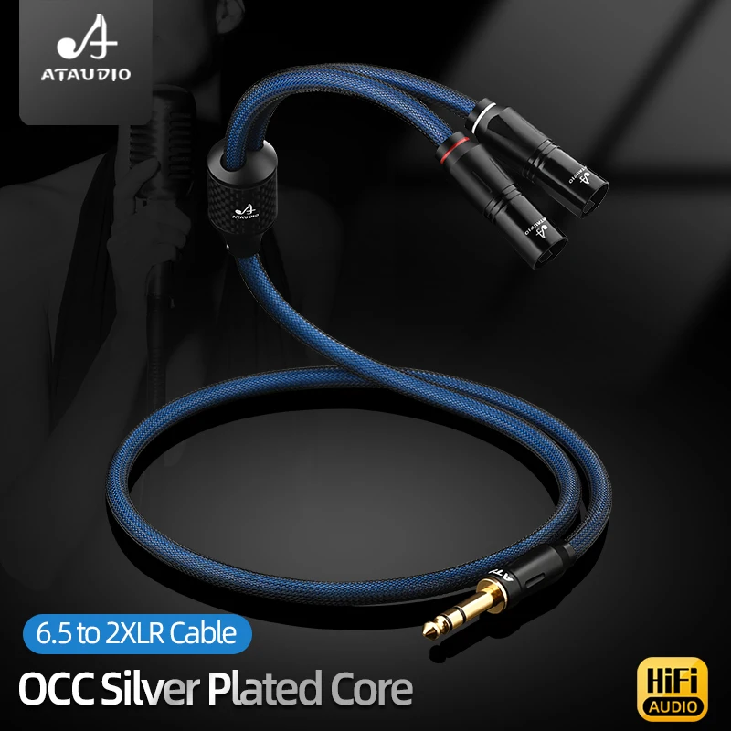 

HiFi 6.5mm TRS to Dual XLR Cable OCC Silver-Plated Audio Cable with Double Shielding for Guitar Amplifier Speaker