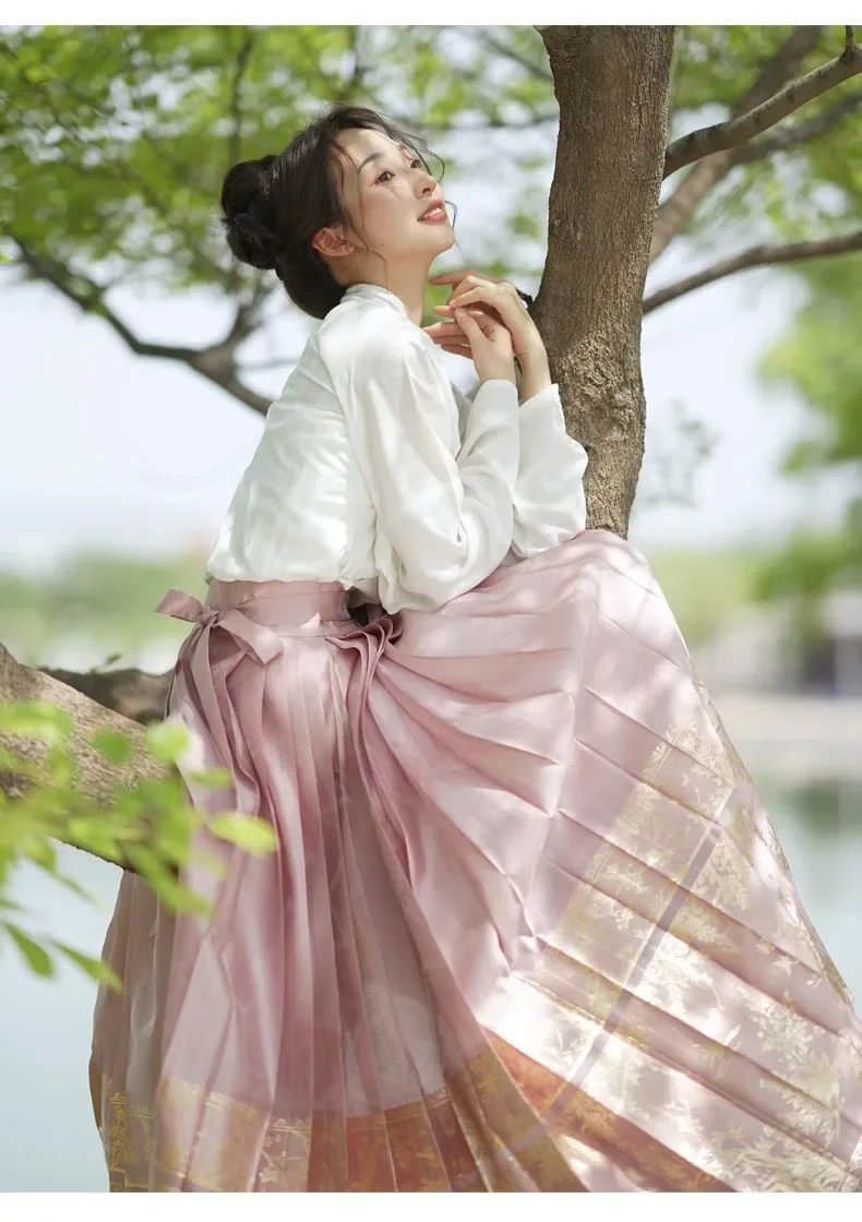 Terno Hanfu feminino bordado com flor e saia, vestido novo estilo chinês, saia de rosto de cavalo melhorada, vestido Qipao vintage, verão