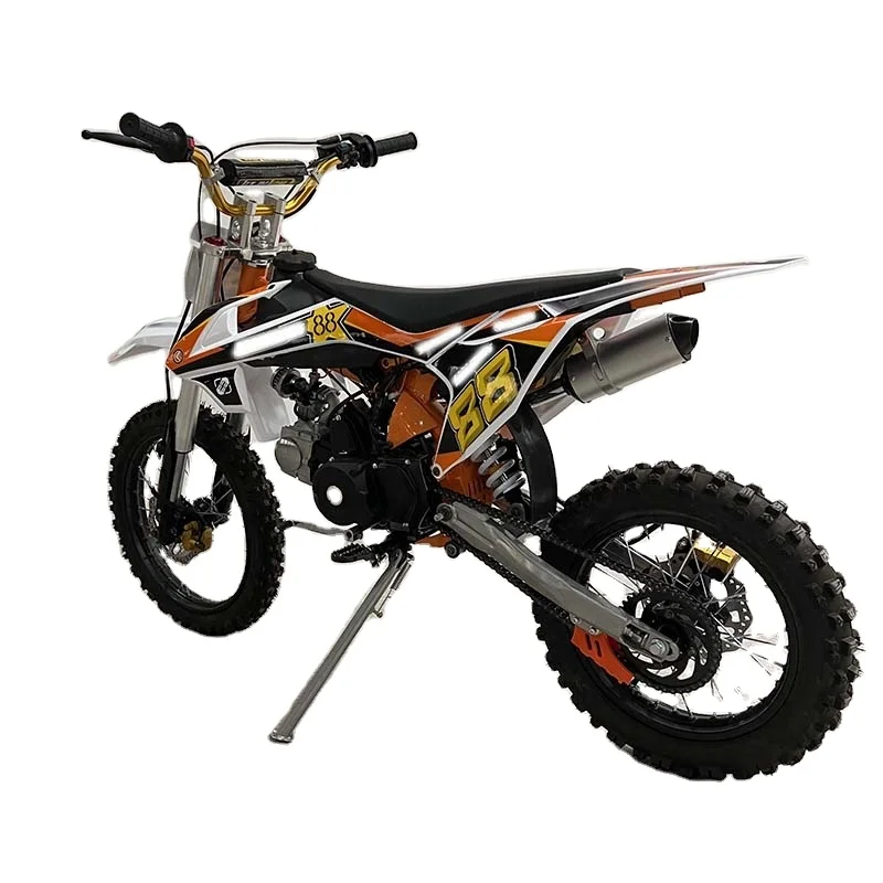 New Fashion 125cc Hot Selling Automatic 4-Stroke Engine Dirt Bike CE Certified Chain Drive Differential Lock Equipped Electric