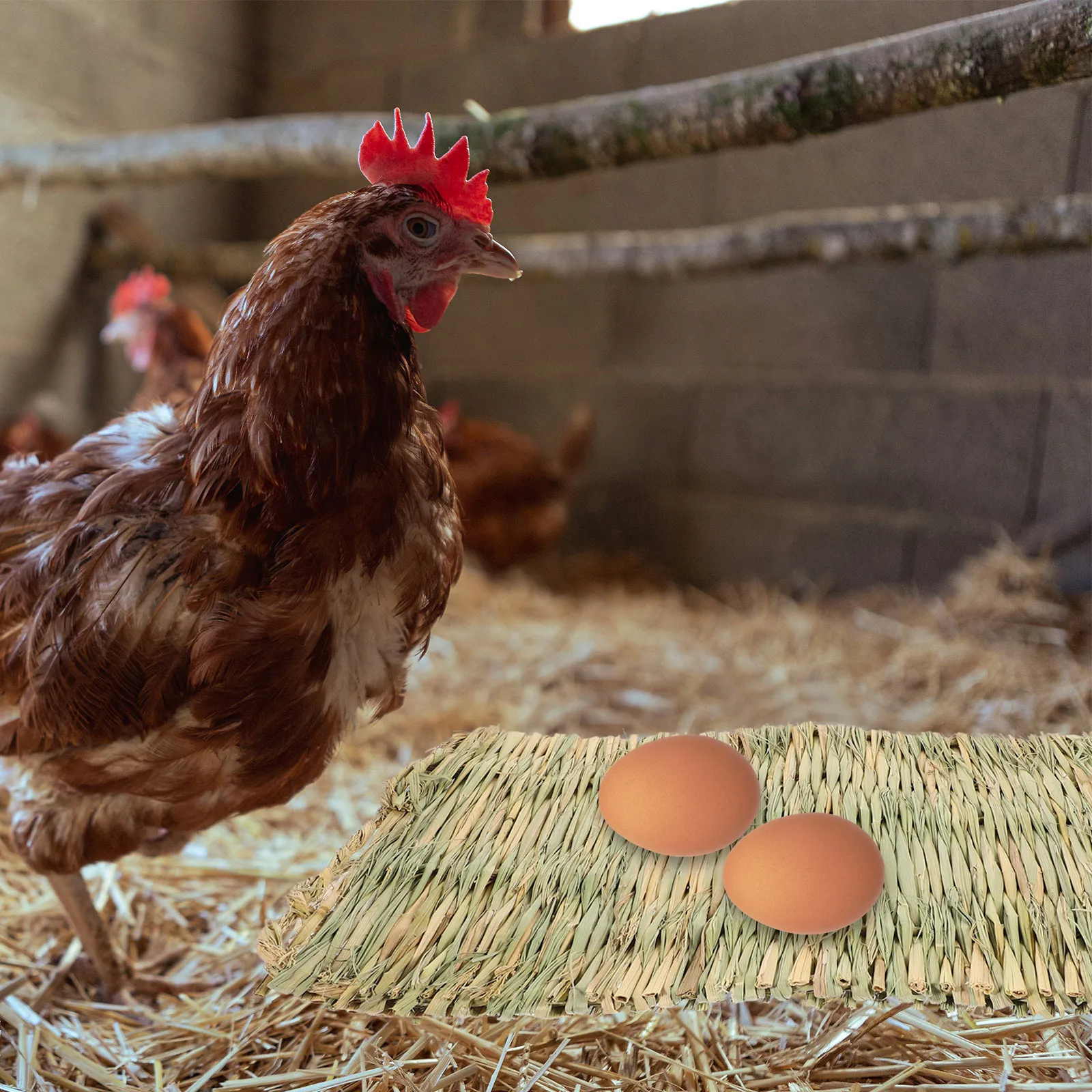 

2Pcs Straw Mat Chicken Nesting Egg Laying Pads Breathable Grass Mats for Cage Bird House Large Size Pet Accessories Rabbit