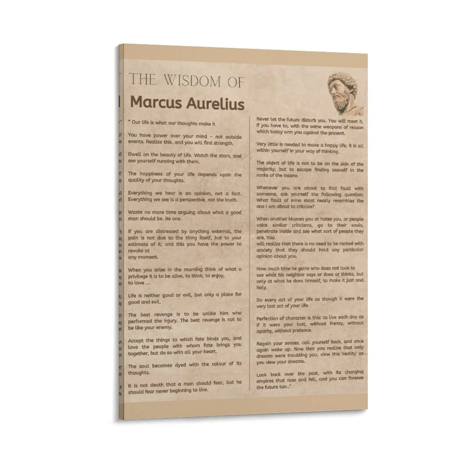 The wisdom of Marcus Aurelius. Stoic Meditations. Canvas Painting room decor anime figure