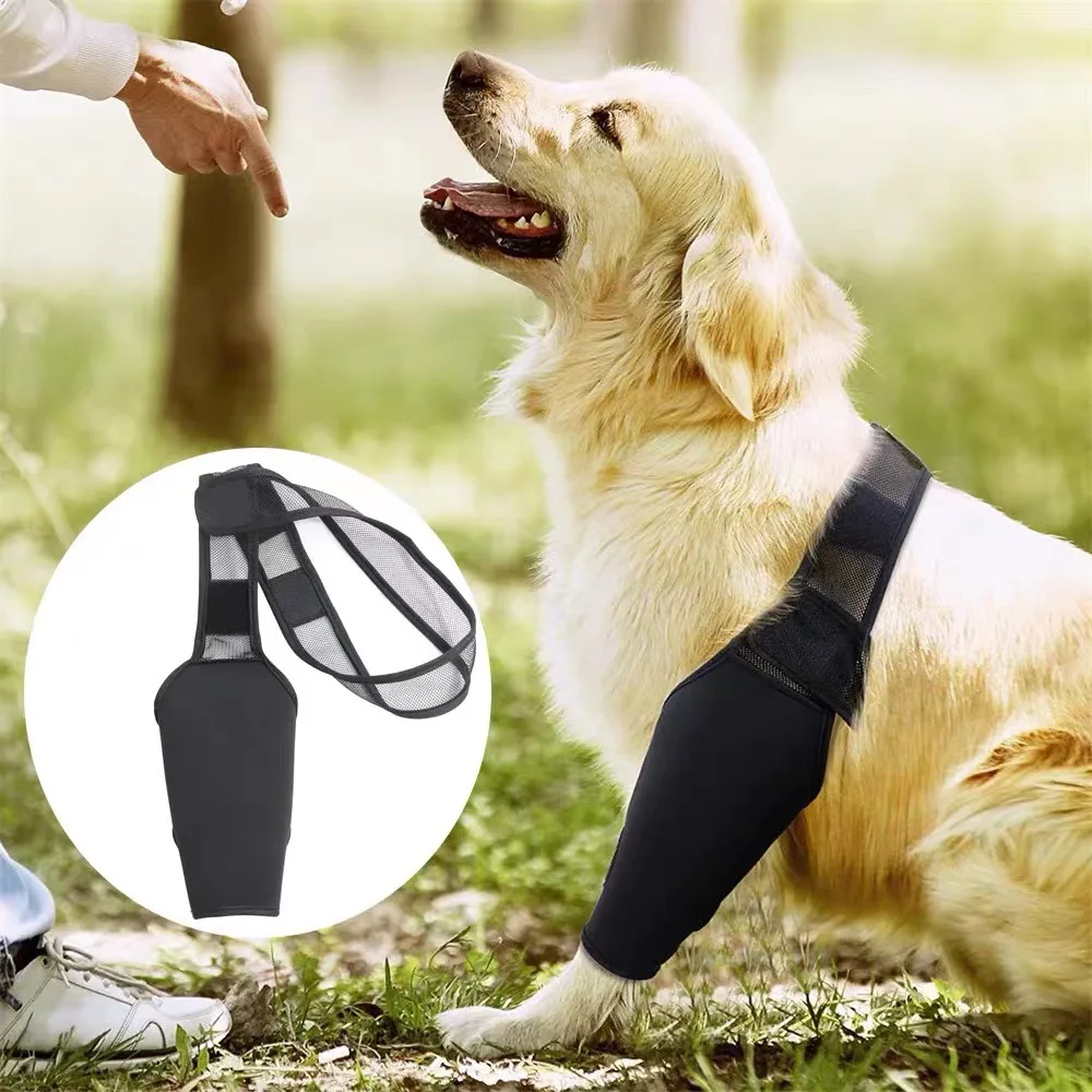 Pet Dog Knee Brace For Joint Pain Muscle Sore Leg Brace Rear Leg Bracer Support For Elderly Disabled Injured Dogs